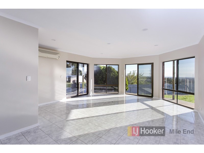 17 Langman Drive, Teringie SA 5072