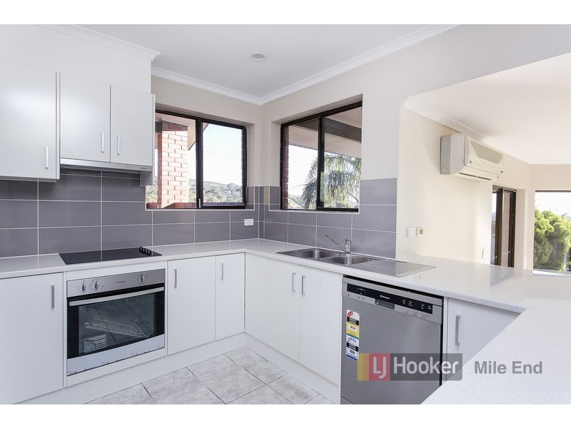 17 Langman Drive, Teringie SA 5072