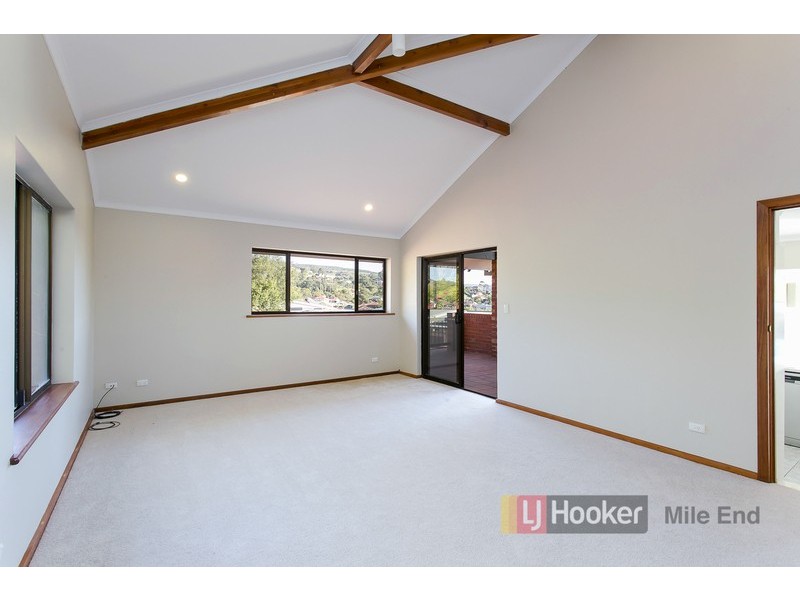 17 Langman Drive, Teringie SA 5072