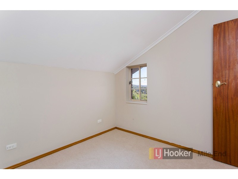 17 Langman Drive, Teringie SA 5072