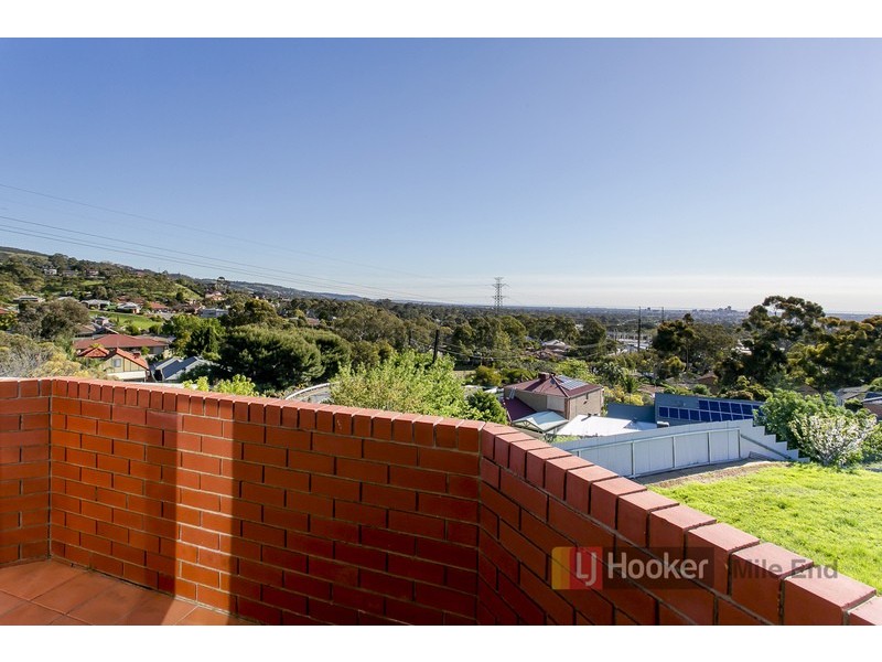 17 Langman Drive, Teringie SA 5072