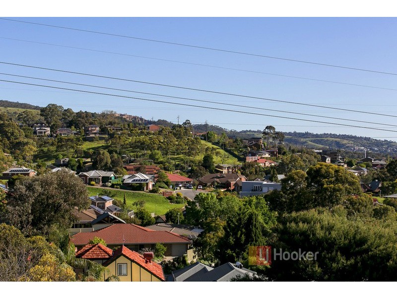 17 Langman Drive, Teringie SA 5072