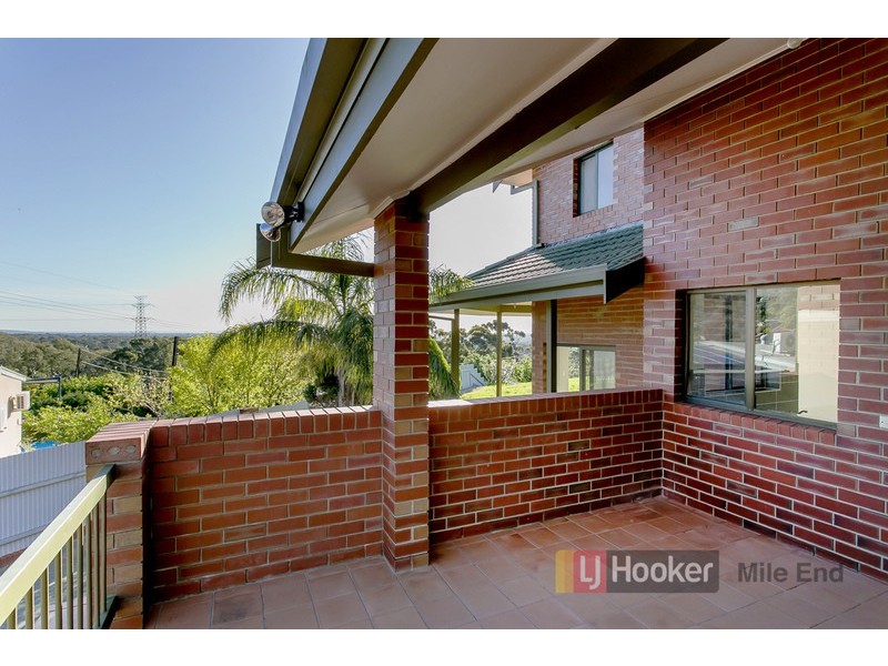 17 Langman Drive, Teringie SA 5072