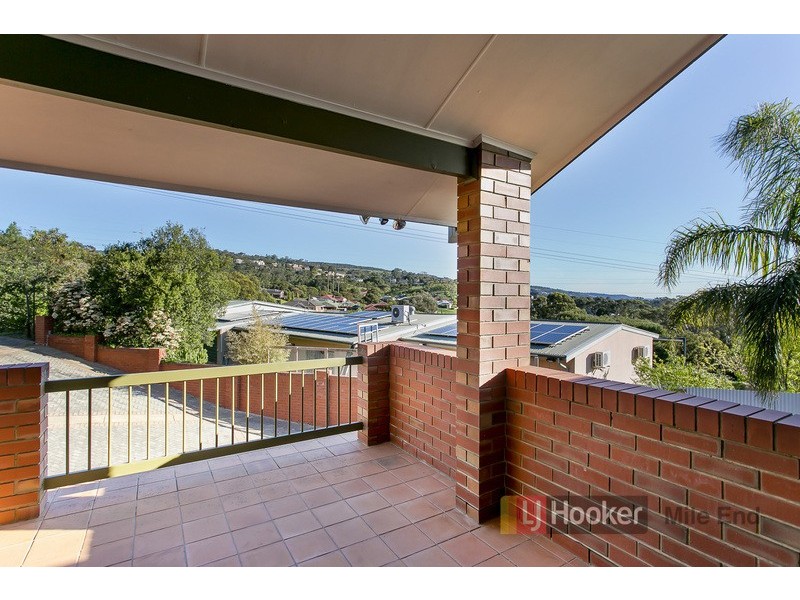 17 Langman Drive, Teringie SA 5072