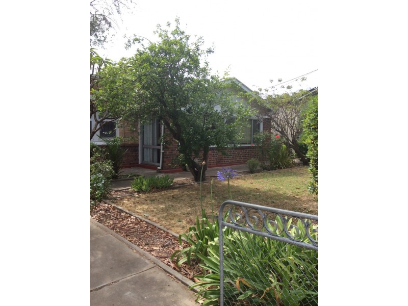 7 Homer Road, Clarence Park SA 5034