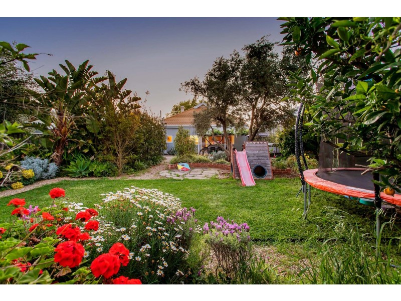 8 Northcote Street, Torrensville SA 5031