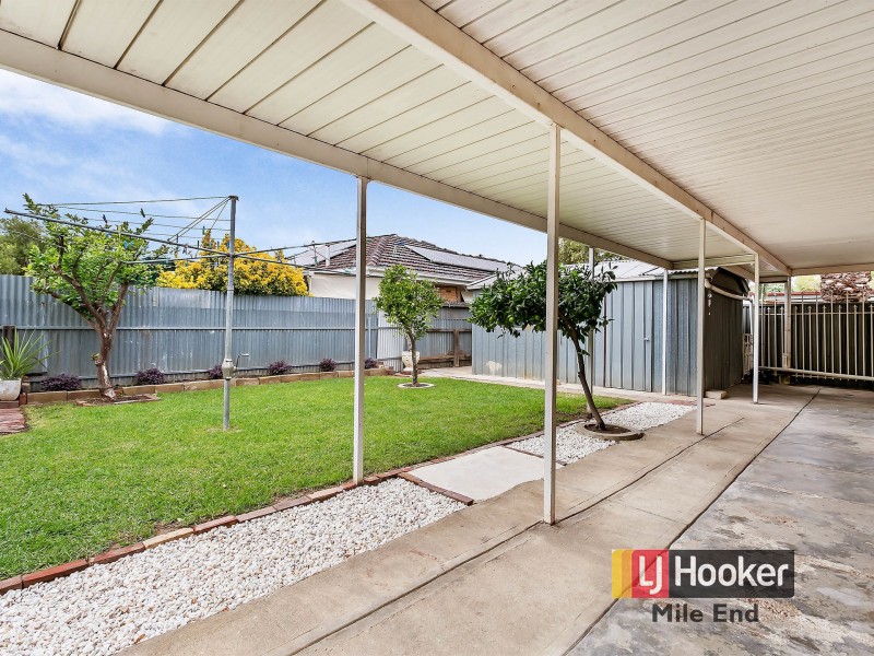 16 McDonnell Avenue, West Hindmarsh SA 5007