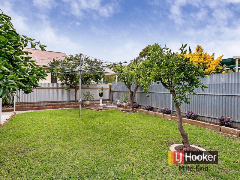 16 McDonnell Avenue, West Hindmarsh SA 5007