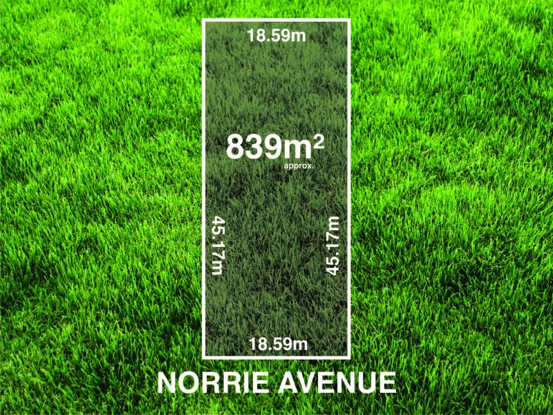 24 Norrie Avenue, Clovelly Park SA 5042