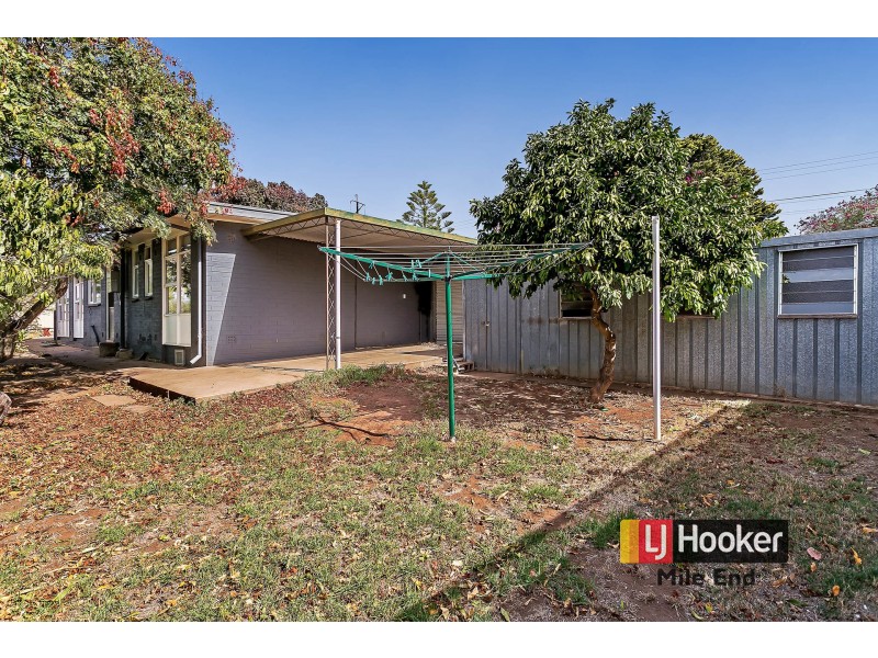 1 Canna Avenue, Modbury SA 5092
