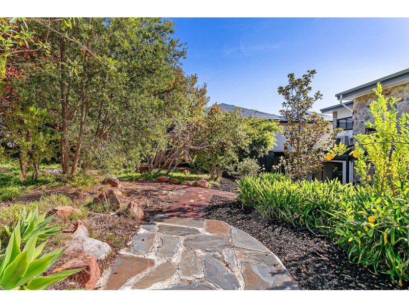 6 Wilaroo Avenue, Beaumont SA 5066