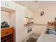 32 Albert Avenue, Camden Park SA 5038