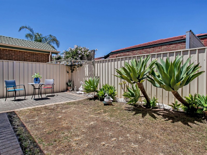 32 Albert Avenue, Camden Park SA 5038