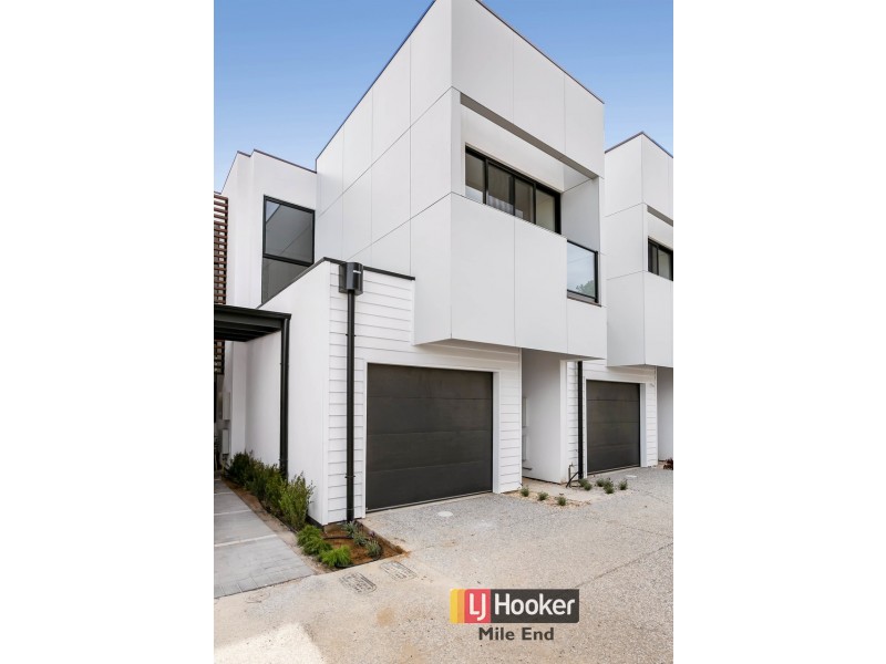 43 Banksia Street, West Lakes SA 5021