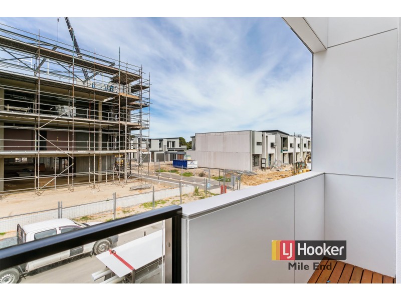 43 Banksia Street, West Lakes SA 5021