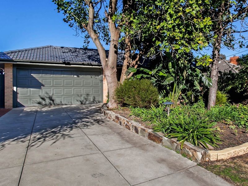 25 Apalie Drive, Modbury SA 5092