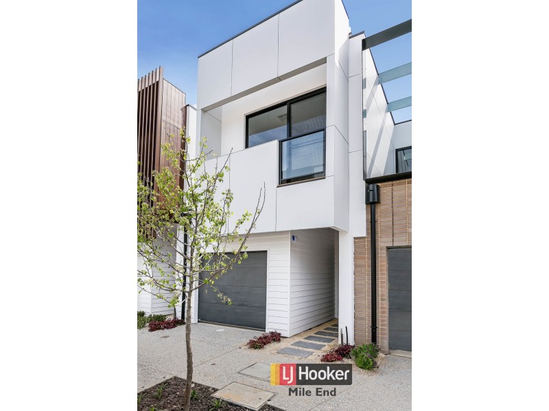 35 Banksia Street, West Lakes SA 5021