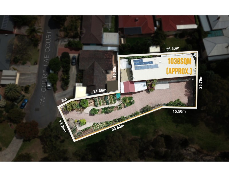 5 Fae Court, Paradise SA 5075