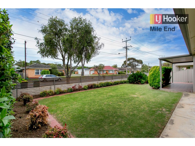 16 Dartmoor Street, Lockleys SA 5032