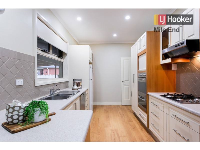 16 Dartmoor Street, Lockleys SA 5032