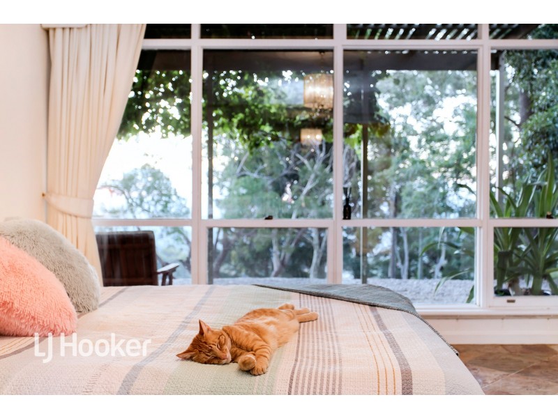 55 Ridgeland Drive, Teringie SA 5072