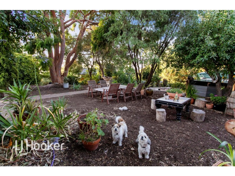 55 Ridgeland Drive, Teringie SA 5072