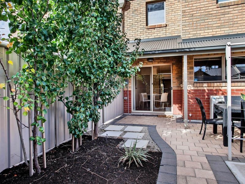 17 Frederick Street, Richmond SA 5033