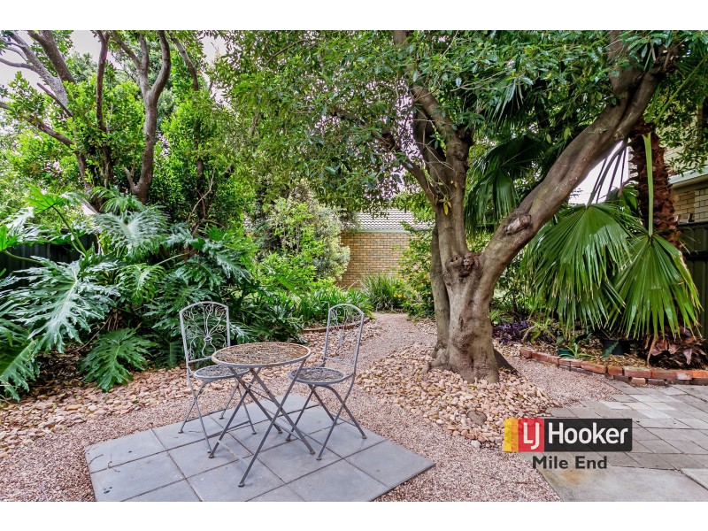 3/17 Thornton Street, Kensington SA 5068