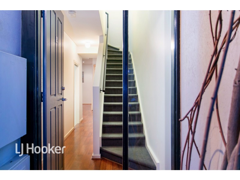 3 Sparman Close, Adelaide SA 5000