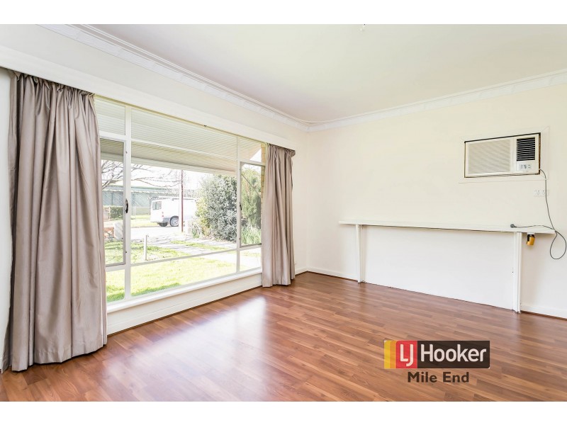 14 Allambee Avenue, Edwardstown SA 5039