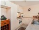 32 Albert Avenue, Camden Park SA 5038