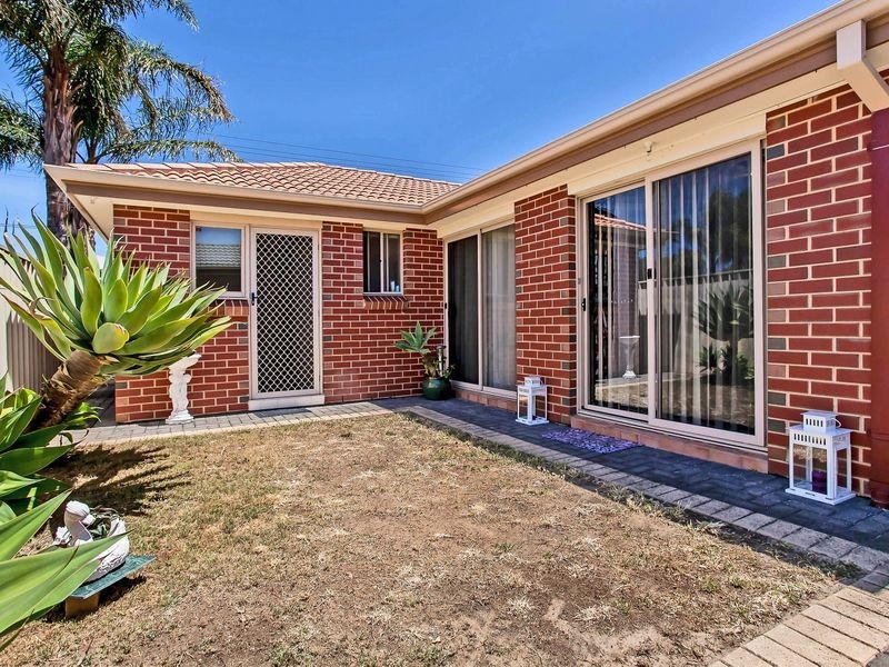 32 Albert Avenue, Camden Park SA 5038