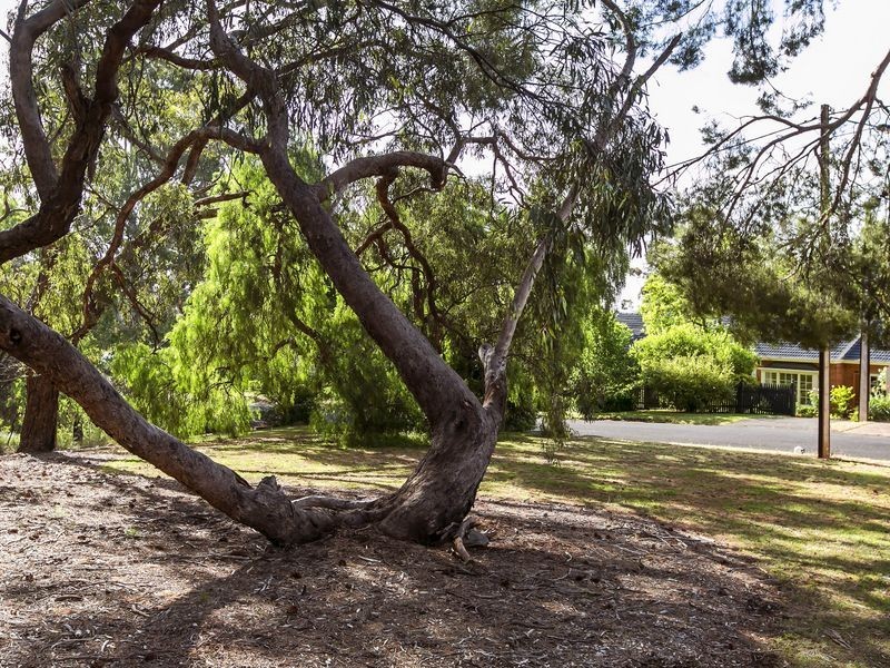 19 The Common, Beaumont SA 5066