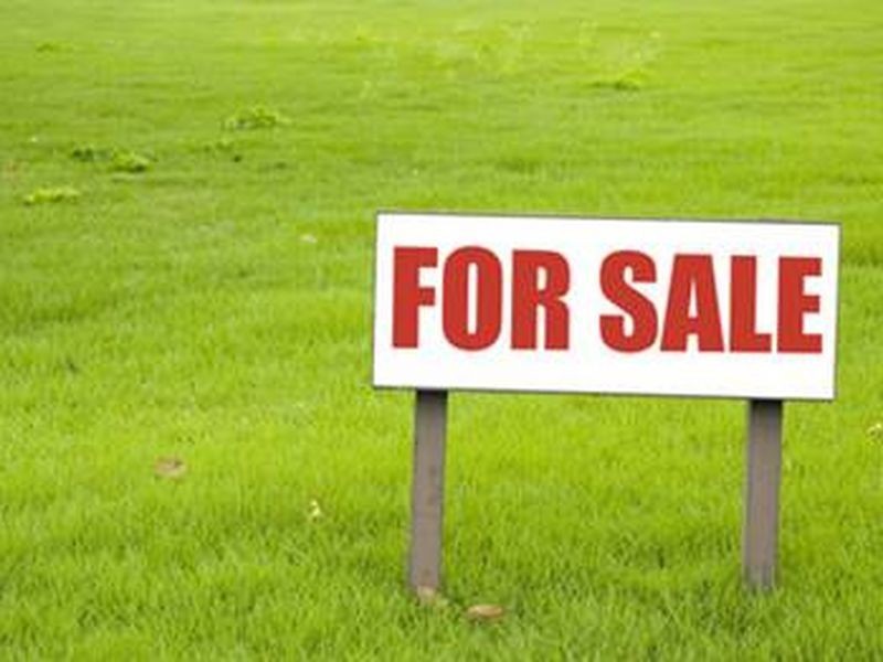 50 Hayward Avenue, Torrensville SA 5031