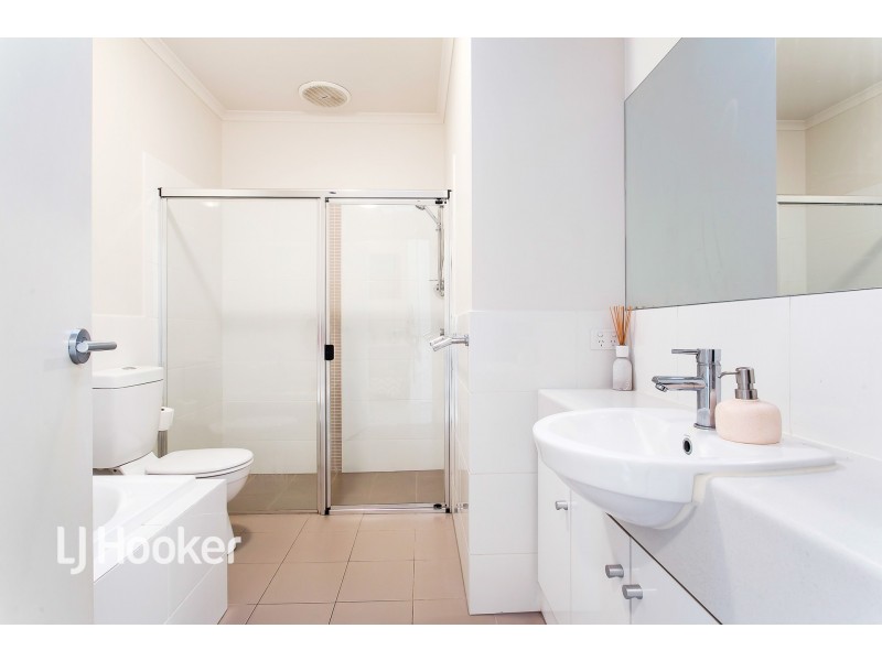 46 Ferry Avenue, Plympton Park SA 5038