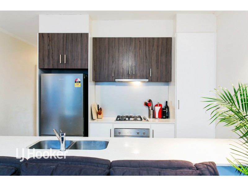 46 Ferry Avenue, Plympton Park SA 5038