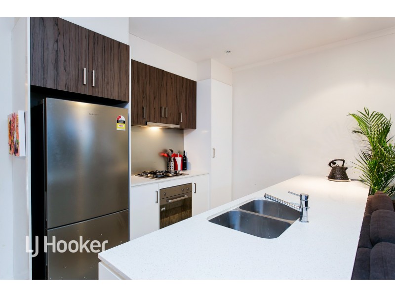 46 Ferry Avenue, Plympton Park SA 5038