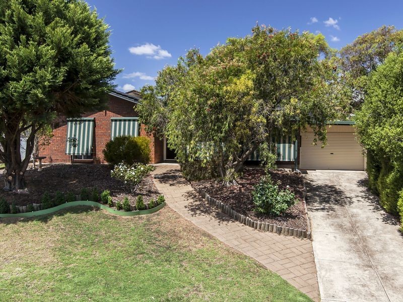 9 Blampied Street, Wynn Vale SA 5127