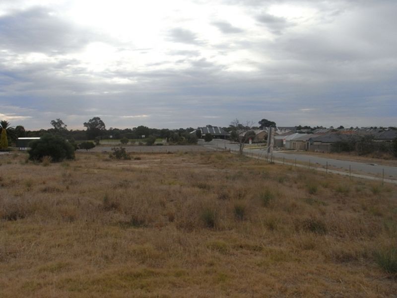 171 Nicholas Road, Hocking WA 6065