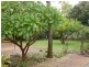 38 Riverview Terrace, Mount Pleasant WA 6153