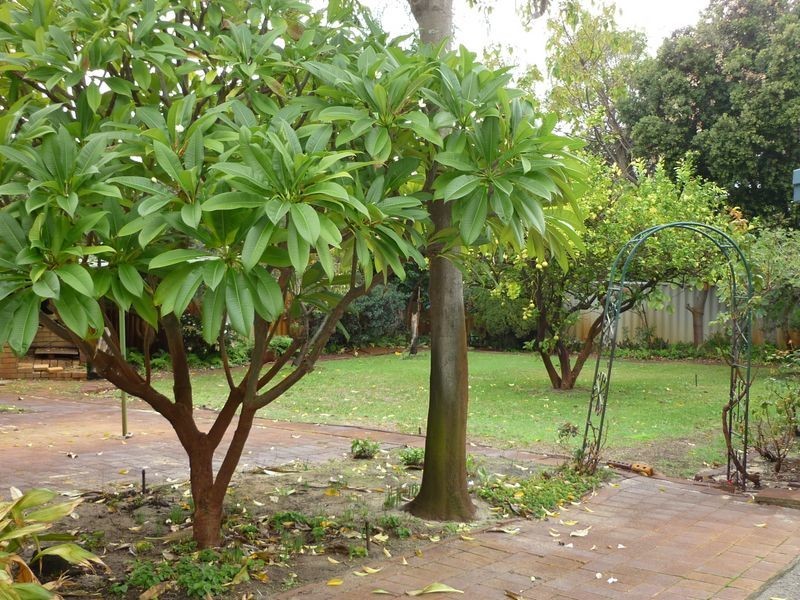 38 Riverview Terrace, Mount Pleasant WA 6153