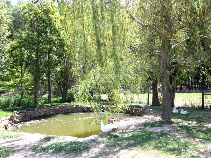 15 Sing Gardens, Walliston WA 6076