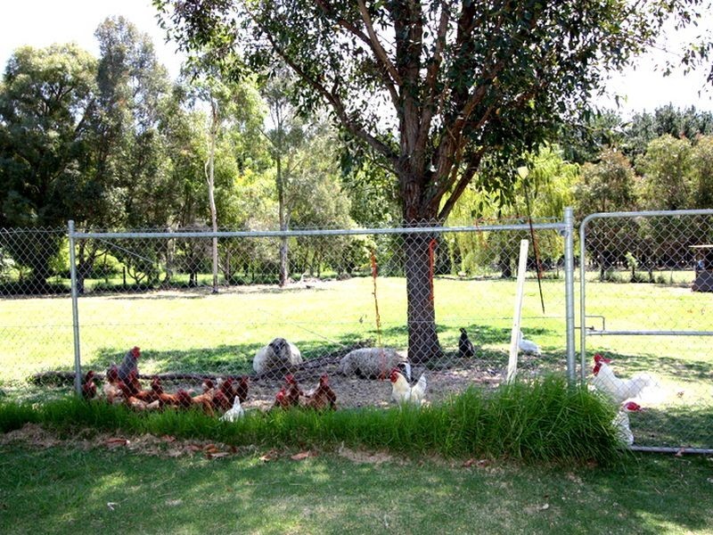 15 Sing Gardens, Walliston WA 6076