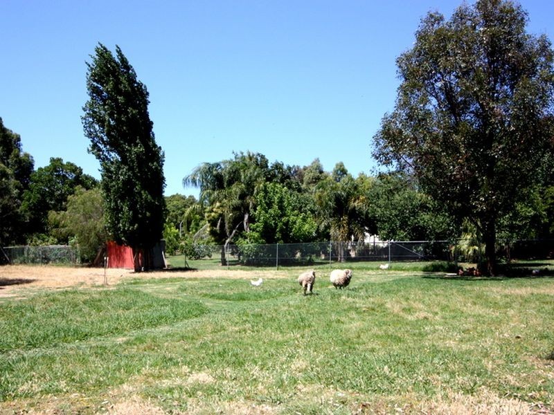 15 Sing Gardens, Walliston WA 6076