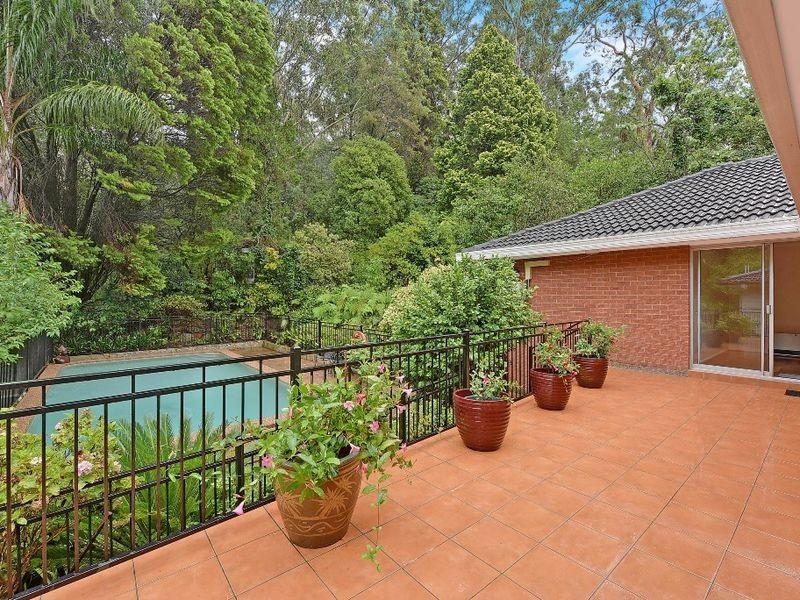 53 Campbell Drive, Wahroonga NSW 2076