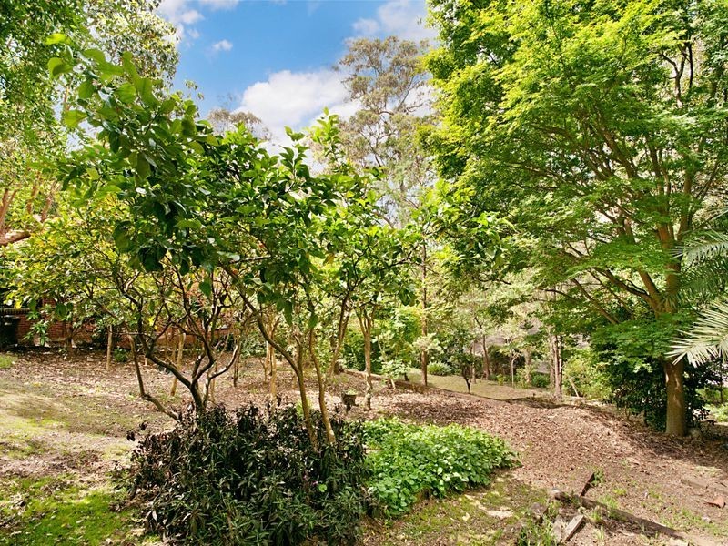 39 Beecroft Road, Beecroft NSW 2119