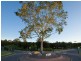 Nambour QLD 4560