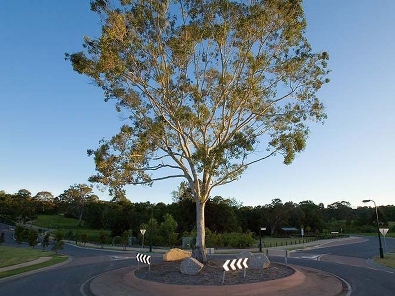 Nambour QLD 4560