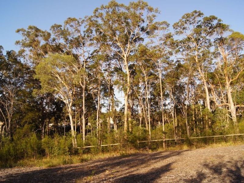 Noosaville QLD 4566