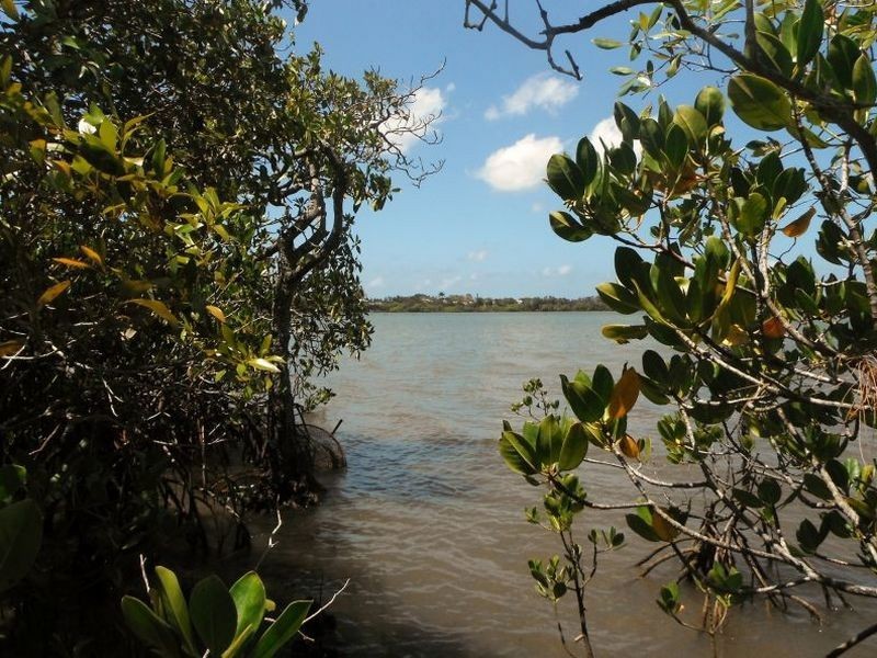 Lot 230 Morinda Circuit Lake Doonella, Noosaville QLD 4566